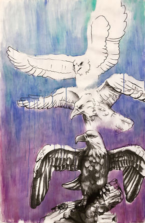 A charcoal and acrylic artwork by Emmelyn Redd of 3 eagles gaining more detail going down the page.