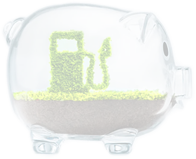 sprit_schwein_trans copy.webp