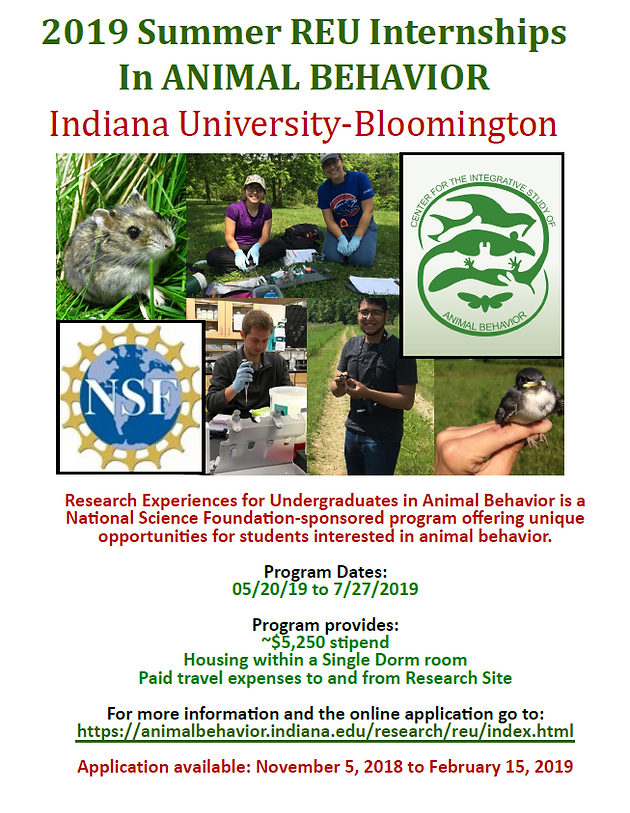 2019 Reu Program In Animal Behavior At Indiana University Bloomington
