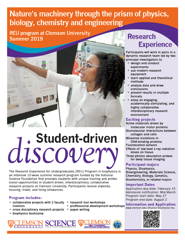 Summer REU Opportunity at Clemson