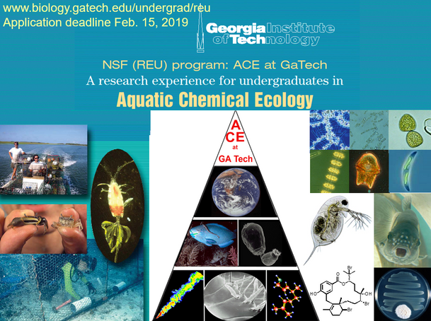 REU in Aquatic Chemical Ecology at Georgia Tech