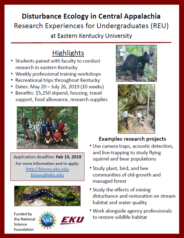 REU Program: Disturbance Ecology in Central Appalachia