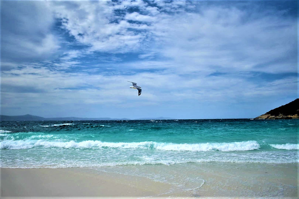 May All Your Dreams Come True!