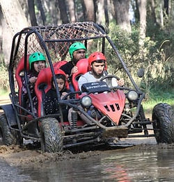 family buggy.jpg