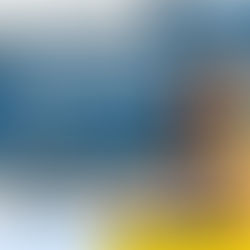 Closure of 156 Street SW 