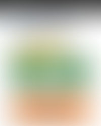 Voting NO Against Single-use Item Bylaw