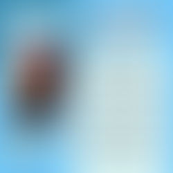 Meet Councillor Rice