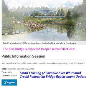 Smith Crossing Pedestrian Bridge replacement project