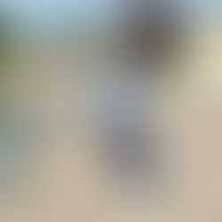 Visiting Twin Brooks