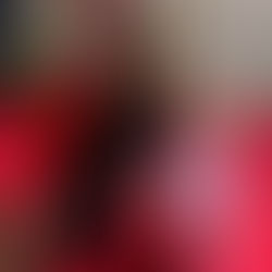 Meeting with the community