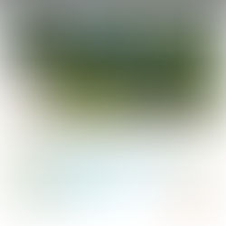 Residential Boulevard Gardening Program