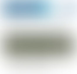 Construction Notice – Tree removals along 111 Street