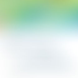 City of Edmonton Budget Public Engagement