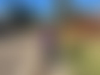 Visiting Sweetgrass and Steinhaur