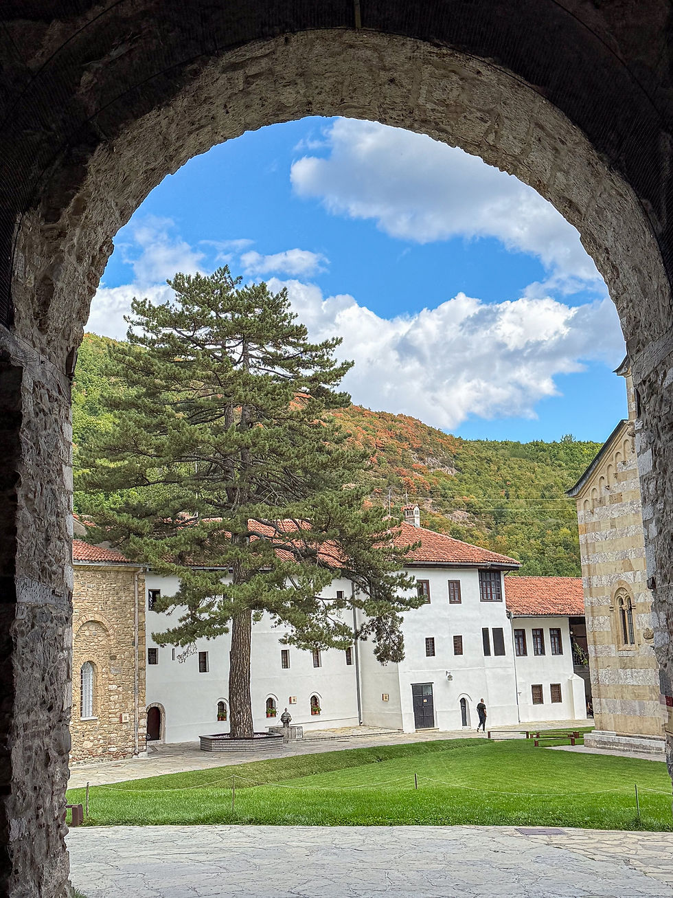 View through the stone entrance archway of Visoki Dečani Monastery, with a tall pine tree, white monastery buildings, red roofs, and wooded hills