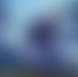 La petite histoire de la chanson à textes..."Le Prince Charmant"/"Lo Prince Charmant", par Zine