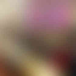 Les participants de la dictée