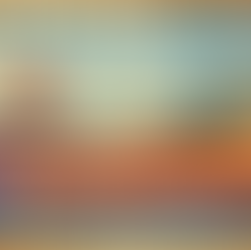 Langue régionale et service public : une visibilité encore trop timide