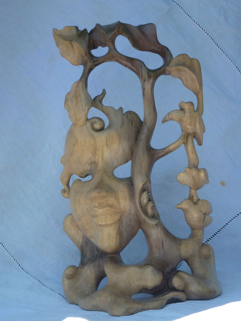 Face(s) Illusion.JPG