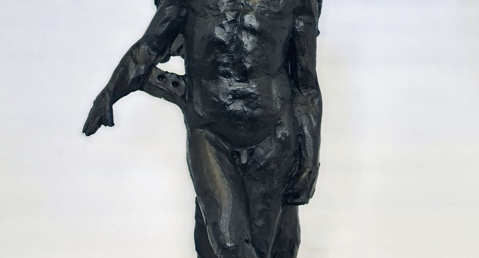 Why do sculptures have small willies?