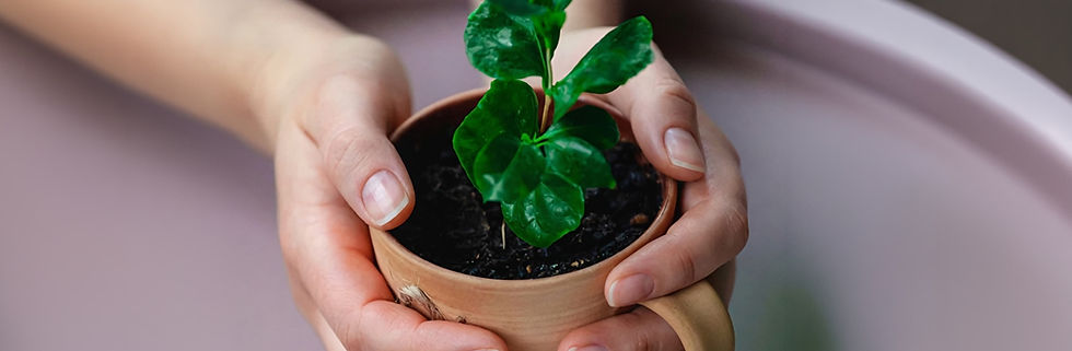 To hender som holder rundt en kaffekopp med en liten grønn plante..jpg