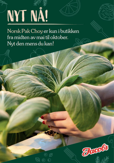 Eksempel på plakat fra Jacob's Holtet