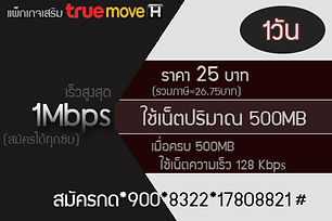เน็ตทรูมูฟสมัครได้ทุกซิม1Mbps1วัน.jpg