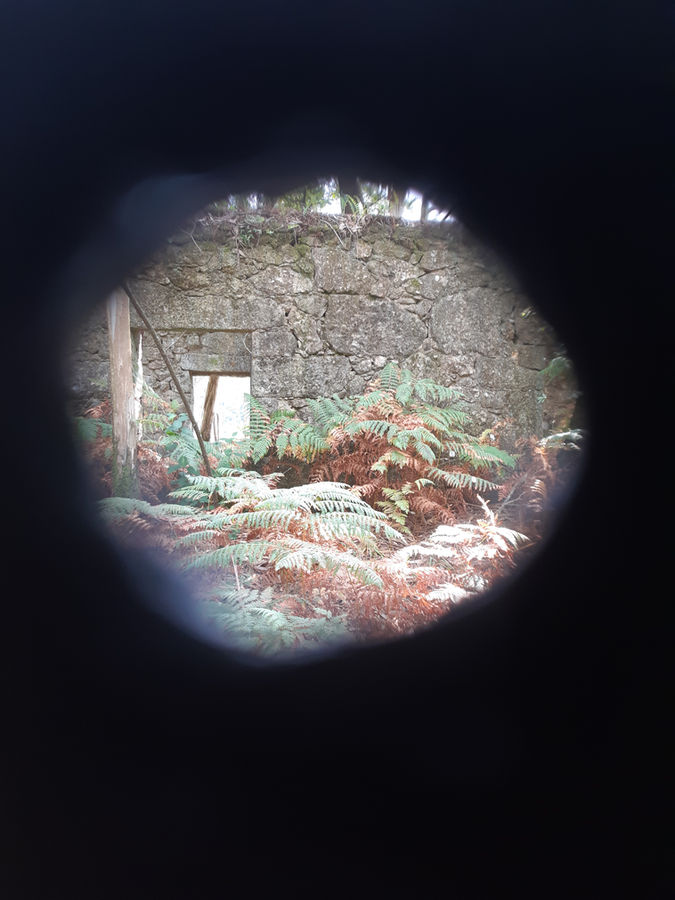 ©Andrés Rodríguez