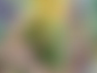 Sacrificing produce for "The Dream"