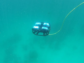 ROV