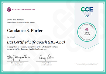 Life Coach