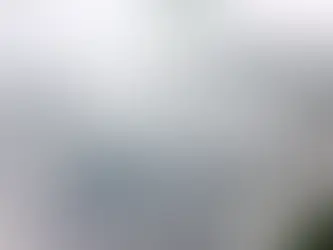ondes à la surface de l'eau