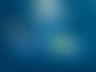 Vencedores Brilhantes!