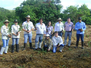 Empresas sustentáveis reduzem a pegada de carbono no setor logístico