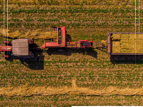 Benefício facilita aquisição de máquinas agrícolas para médios produtores