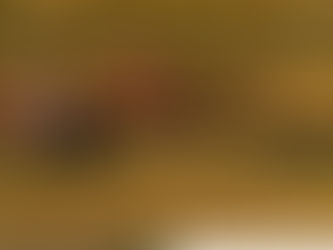 Benefício facilita aquisição de máquinas agrícolas para médios produtores