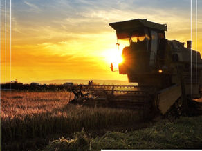 Agronegócio deve voltar a crescer em 2023