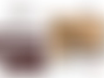 Organização Documental é tema do primeiro Café com Palestra de julho