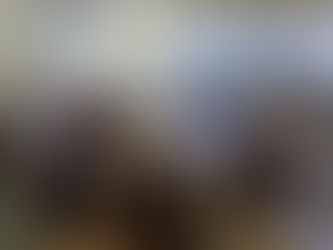 Reunião do Comite Setorial