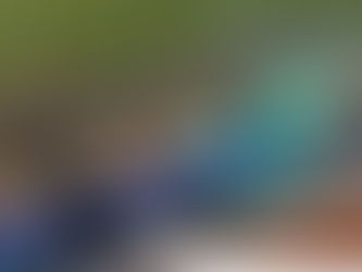 Ecovias do Cerrado iniciará projeto para pesagem veicular em movimento