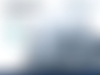 Reunião da Diretoria do Settrim