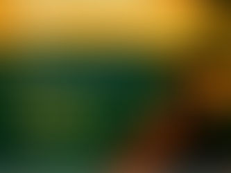 Mantemos você informado!