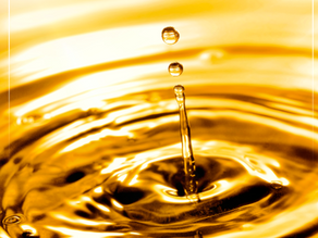 CNT alerta sobre o risco ambiental que novo aumento do percentual de biodiesel pode causar