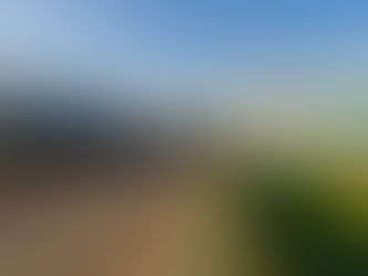 ANTT disponibiliza de forma totalmente digital 55 novos serviços