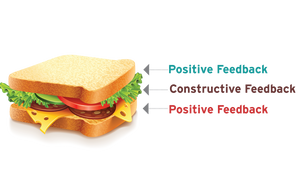 ES 1.1 - Task 1: Lesson Observation