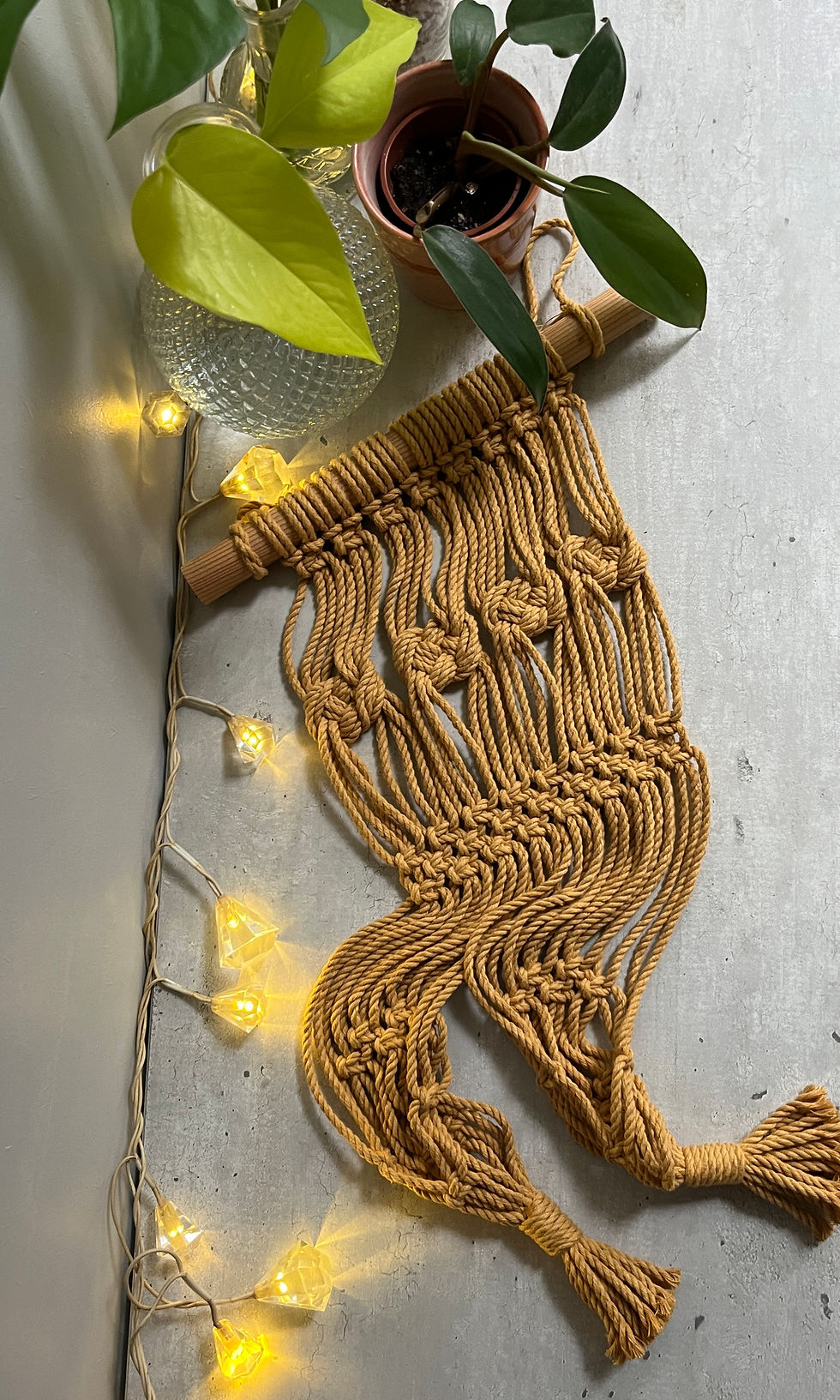 Thumbnail: Wandhanger - Pothos
