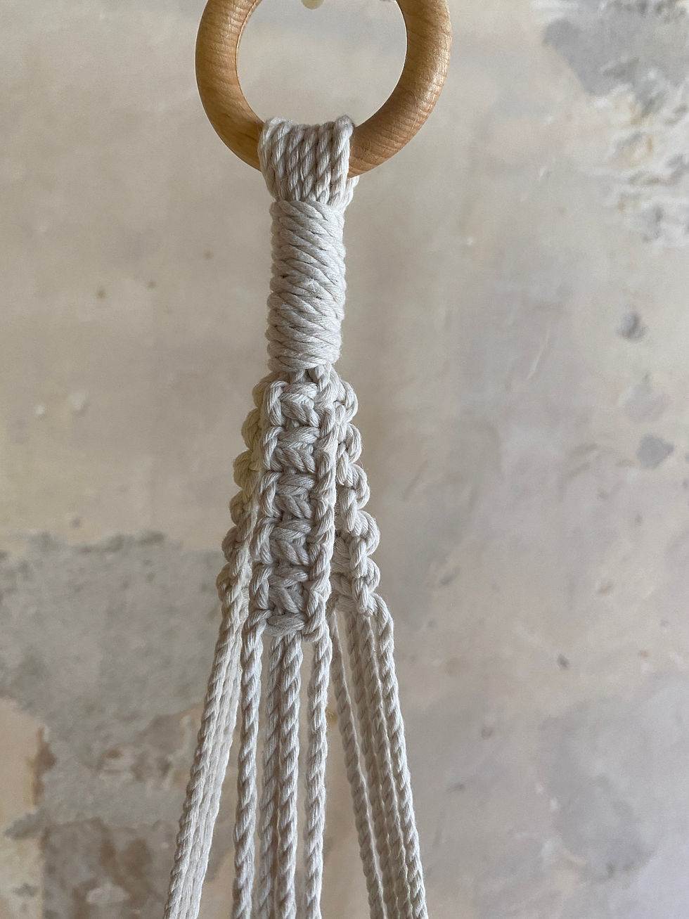 Thumbnail: Double plant hanger - Pictus