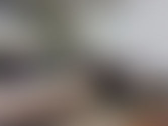 Study visit to Tešanj: Digital transformation