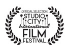film festival laurel