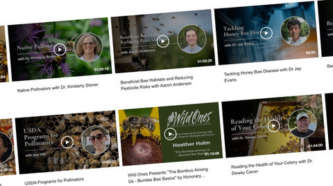 Access Beekeeping Video Library